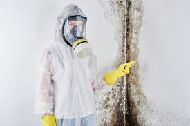 Best Mold Damage Restoration in Pine Lake Park, NJ